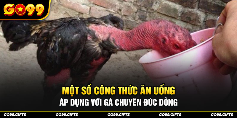 Một số công thức ăn uống áp dụng với gà chuyên đúc dòng